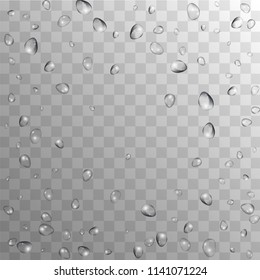 Rain Drops on Transparent Background. Beautiful Water Drops for Your Design. Condensation on Glass with many Fresh Droplet. Beauty Background.  Vector illustration. 