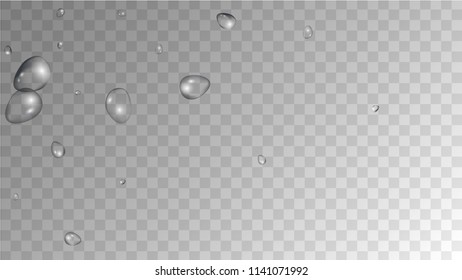 Rain Drops on Transparent Background. Realistic Water Drops for Your Design. Condensation on Glass with many Fresh Droplet. Dew Drop Background. Vector illustration. 