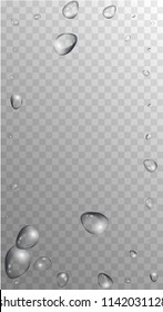 Rain Drops on Transparent Background. Cool Water Drops for Your Design. Condensation on Glass with many Fresh Droplet. Beauty Background.  Vector illustration. 