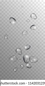 Rain Drops on Transparent Background. Cool Water Drops for Your Design. Condensation on Glass with many Fresh Droplet. Dew Backdrop. Vector illustration. 