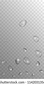 Rain Drops on Transparent Background. Realistic Water Drops for Your Design. Condensation on Glass with many Clean Droplet. Dew Backdrop. Vector illustration. 