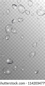 Rain Drops on Transparent Background. Realistic Water Drops for Your Design. Condensation on Glass with many Fresh Droplet. Dew Drop Background. Vector illustration. 