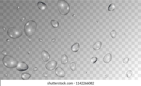 Rain Drops on Transparent Background. Realistic Water Drops for Your Design. Condensation on Glass with many Fresh Droplet. Dew Backdrop. Vector illustration. 