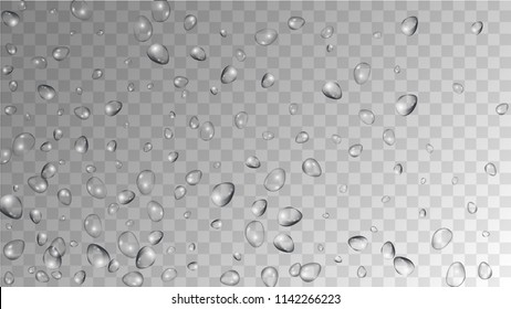 Rain Drops on Transparent Background. Cool Water Drops for Your Design. Condensation on Glass with many Fresh Droplet. Dew Backdrop. Vector illustration. 