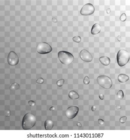 Rain Drops on Transparent Background. Beautiful Water Drops for Your Design. Condensation on Glass with many Fresh Droplet. Background for Cosmetic  Vector illustration. 