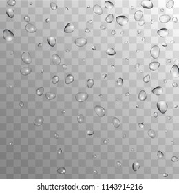 Rain Drops on Transparent Background. Realistic Water Drops for Your Design. Condensation on Glass with many Clean Droplet. Dew Backdrop. Vector illustration. 