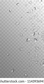 Rain Drops on Transparent Background. Realistic Water Drops for Your Design. Condensation on Glass with many Fresh Droplet. Background for Cosmetic  Vector illustration. 