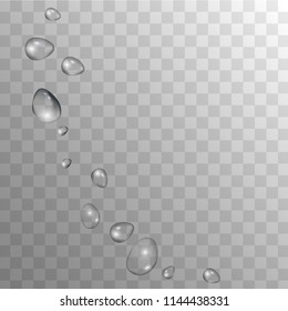 Rain Drops on Transparent Background. Beautiful Water Drops for Your Design. Condensation on Glass with many Fresh Droplet. Dew Backdrop. Vector illustration. 
