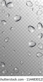 Rain Drops on Transparent Background. Cool Water Drops for Your Design. Condensation on Glass with many Fresh Droplet. Background for Cosmetic  Vector illustration. 