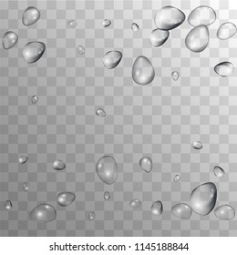 Rain Drops on Transparent Background. Beautiful Water Drops for Your Design. Condensation on Glass with many Fresh Droplet. Dew Drop Background. Vector illustration. 