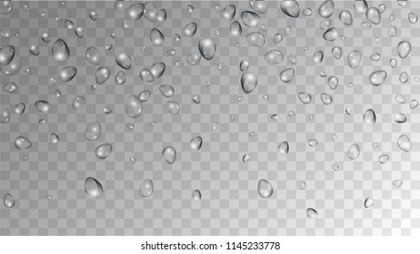 Rain Drops on Transparent Background. Realistic Water Drops for Your Design. Condensation on Glass with many Fresh Droplet. Dew Backdrop. Vector illustration. 