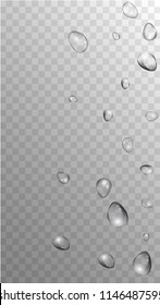 Rain Drops on Transparent Background. Cool Water Drops for Your Design. Condensation on Glass with many Fresh Droplet. Dew Drop Background. Vector illustration. 