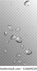 Rain Drops on Transparent Background. Realistic Water Drops for Your Design. Condensation on Glass with many Clean Droplet. Beauty Background.  Vector illustration. 