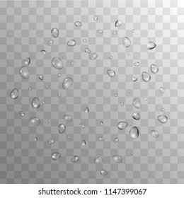 Rain Drops on Transparent Background. Cool Water Drops for Your Design. Condensation on Glass with many Fresh Droplet. Beauty Background.  Vector illustration. 