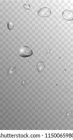Rain Drops on Transparent Background. Realistic Water Drops for Your Design. Condensation on Glass with many Fresh Droplet. Beauty Background.  Vector illustration. 