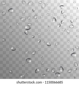 Rain Drops on Transparent Background. Cool Water Drops for Your Design. Condensation on Glass with many Fresh Droplet. Beauty Background.  Vector illustration. 