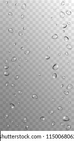 Rain Drops on Transparent Background. Cool Water Drops for Your Design. Condensation on Glass with many Fresh Droplet. Beauty Background.  Vector illustration. 