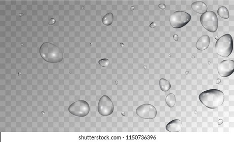 Rain Drops on Transparent Background. Beautiful Water Drops for Your Design. Condensation on Glass with many Fresh Droplet. Dew Drop Background. Vector illustration. 