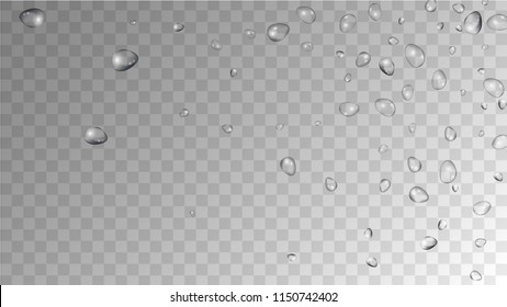 Rain Drops on Transparent Background. Beautiful Water Drops for Your Design. Condensation on Glass with many Fresh Droplet. Dew Drop Background. Vector illustration. 