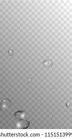 Rain Drops on Transparent Background. Realistic Water Drops for Your Design. Condensation on Glass with many Clean Droplet. Dew Drop Background. Vector illustration. 