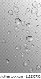 Rain Drops on Transparent Background. Realistic Water Drops for Your Design. Condensation on Glass with many Clean Droplet. Dew Backdrop. Vector illustration. 