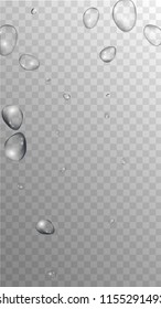 Rain Drops on Transparent Background. Cool Water Drops for Your Design. Condensation on Glass with many Fresh Droplet. Dew Backdrop. Vector illustration. 