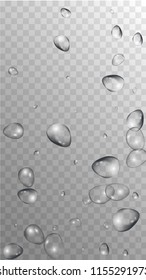Rain Drops on Transparent Background. Realistic Water Drops for Your Design. Condensation on Glass with many Fresh Droplet. Beauty Background.  Vector illustration. 