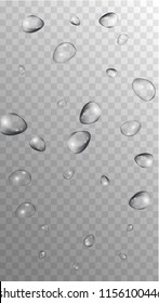 Rain Drops on Transparent Background. Cool Water Drops for Your Design. Condensation on Glass with many Fresh Droplet. Dew Drop Background. Vector illustration. 