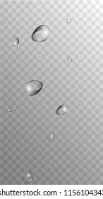 Rain Drops on Transparent Background. Realistic Water Drops for Your Design. Condensation on Glass with many Fresh Droplet. Dew Backdrop. Vector illustration. 