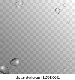 Rain Drops on Transparent Background. Realistic Water Drops for Your Design. Condensation on Glass with many Clean Droplet. Dew Drop Background. Vector illustration. 