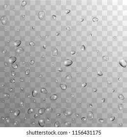Rain Drops on Transparent Background. Cool Water Drops for Your Design. Condensation on Glass with many Fresh Droplet. Dew Backdrop. Vector illustration. 