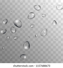 Rain Drops on Transparent Background. Cool Water Drops for Your Design. Condensation on Glass with many Fresh Droplet. Beauty Background.  Vector illustration. 