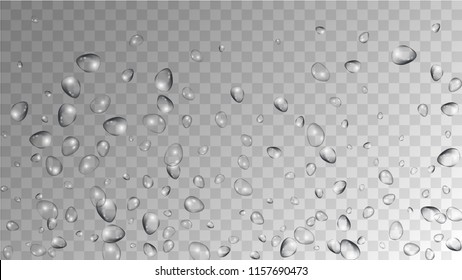 Rain Drops on Transparent Background. Realistic Water Drops for Your Design. Condensation on Glass with many Clean Droplet. Dew Drop Background. Vector illustration. 
