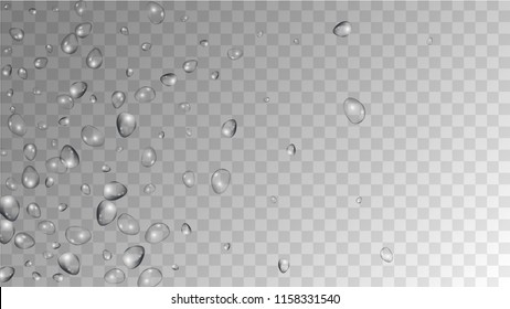Rain Drops on Transparent Background. Cool Water Drops for Your Design. Condensation on Glass with many Fresh Droplet. Background for Cosmetic  Vector illustration. 