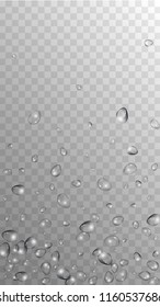 Rain Drops on Transparent Background. Realistic Water Drops for Your Design. Condensation on Glass with many Fresh Droplet. Background for Cosmetic  Vector illustration. 