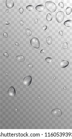 Rain Drops on Transparent Background. Realistic Water Drops for Your Design. Condensation on Glass with many Clean Droplet. Background for Cosmetic  Vector illustration. 