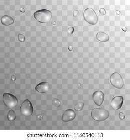 Rain Drops on Transparent Background. Realistic Water Drops for Your Design. Condensation on Glass with many Fresh Droplet. Dew Backdrop. Vector illustration. 