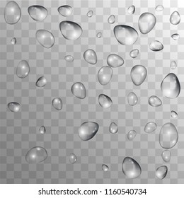 Rain Drops on Transparent Background. Realistic Water Drops for Your Design. Condensation on Glass with many Fresh Droplet. Dew Backdrop. Vector illustration. 