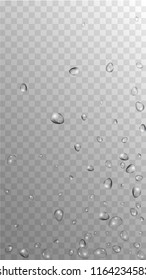 Rain Drops on Transparent Background. Realistic Water Drops for Your Design. Condensation on Glass with many Fresh Droplet. Dew Backdrop. Vector illustration. 