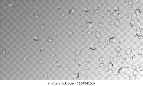 Rain Drops on Transparent Background. Cool Water Drops for Your Design. Condensation on Glass with many Fresh Droplet. Beauty Background.  Vector illustration. 