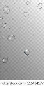 Rain Drops on Transparent Background. Cool Water Drops for Your Design. Condensation on Glass with many Fresh Droplet. Background for Cosmetic  Vector illustration. 
