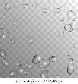 Rain Drops on Transparent Background. Cool Water Drops for Your Design. Condensation on Glass with many Fresh Droplet. Dew Drop Background. Vector illustration. 