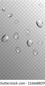 Rain Drops on Transparent Background. Beautiful Water Drops for Your Design. Condensation on Glass with many Fresh Droplet. Background for Cosmetic  Vector illustration. 