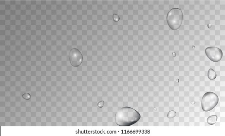 Rain Drops on Transparent Background. Beautiful Water Drops for Your Design. Condensation on Glass with many Fresh Droplet. Beauty Background.  Vector illustration. 