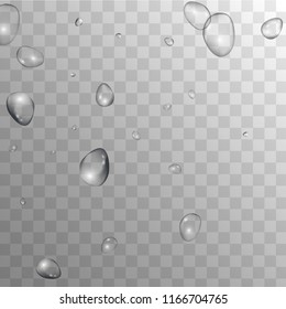 Rain Drops on Transparent Background. Cool Water Drops for Your Design. Condensation on Glass with many Fresh Droplet. Beauty Background.  Vector illustration. 