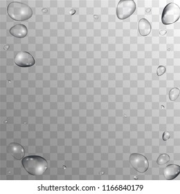 Rain Drops on Transparent Background. Realistic Water Drops for Your Design. Condensation on Glass with many Fresh Droplet. Background for Cosmetic  Vector illustration. 