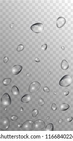 Rain Drops on Transparent Background. Realistic Water Drops for Your Design. Condensation on Glass with many Clean Droplet. Background for Cosmetic  Vector illustration. 