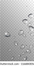 Rain Drops on Transparent Background. Realistic Water Drops for Your Design. Condensation on Glass with many Clean Droplet. Dew Backdrop. Vector illustration. 