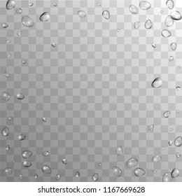 Rain Drops on Transparent Background. Realistic Water Drops for Your Design. Condensation on Glass with many Fresh Droplet. Dew Backdrop. Vector illustration. 