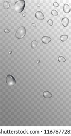 Rain Drops on Transparent Background. Realistic Water Drops for Your Design. Condensation on Glass with many Fresh Droplet. Beauty Background.  Vector illustration. 